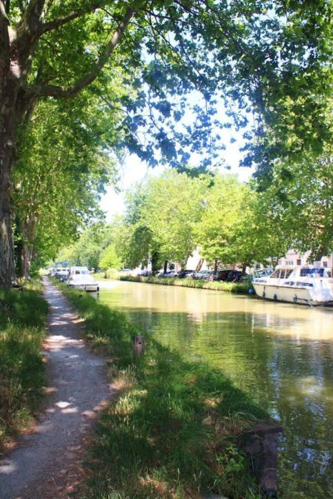 L'Appart Du Canal Carcassonne Exterior photo